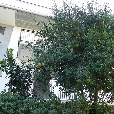 Bellavista 3*